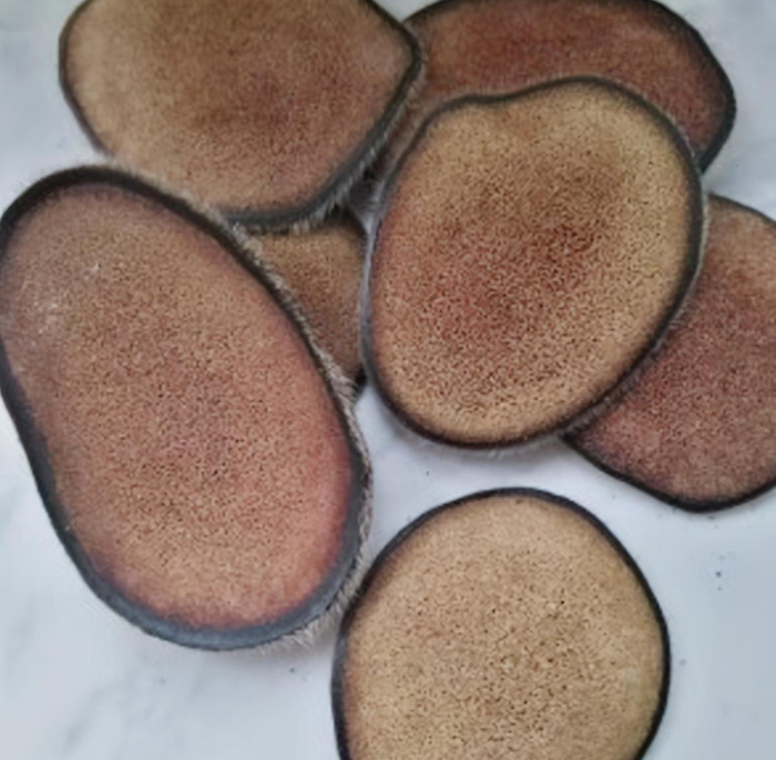 哪里可以买到真正的鹿茸【鹿茸哪里买比较正宗有保证?】