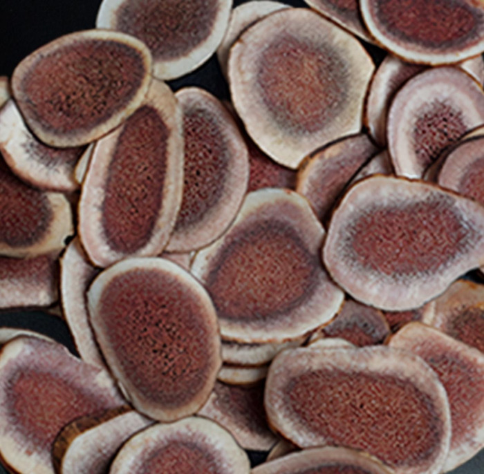 哪里可以买到真正的鹿茸【鹿茸哪里买比较正宗有保证?】