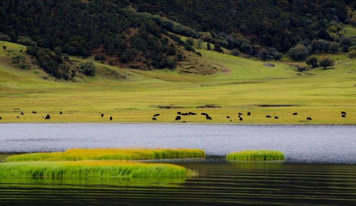 大理旅游攻略必去景点【丽江旅游攻略必去景点】