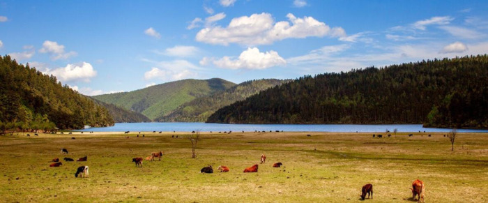 大理旅游攻略必去景点【丽江旅游攻略必去景点】