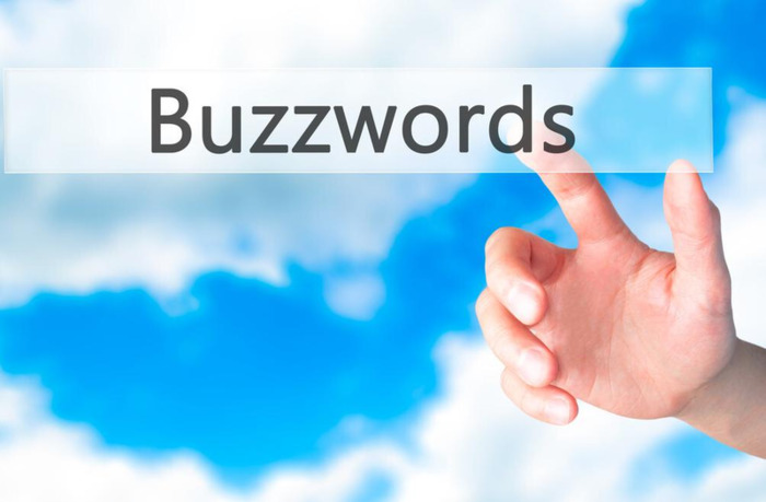 保护鸟类的作文400【保护鸟类作文400字】