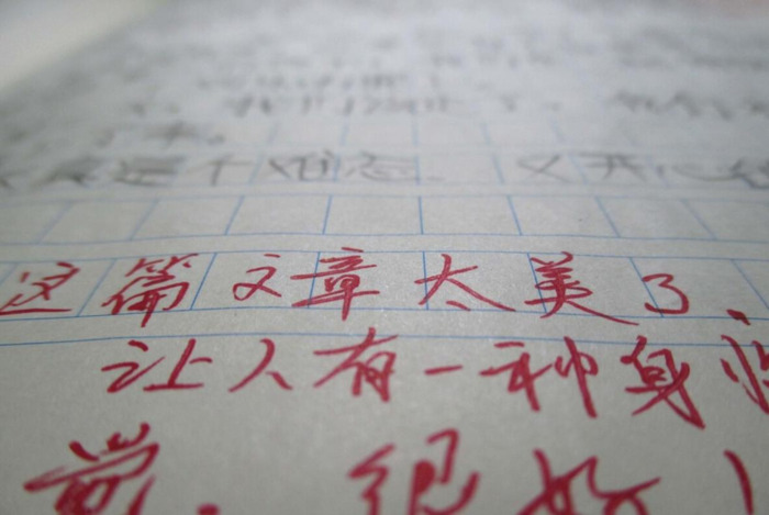 保护鸟类的作文400【保护鸟类作文400字】