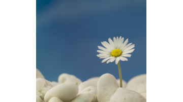 天空的文案短句【适合海阔天空的文案】
