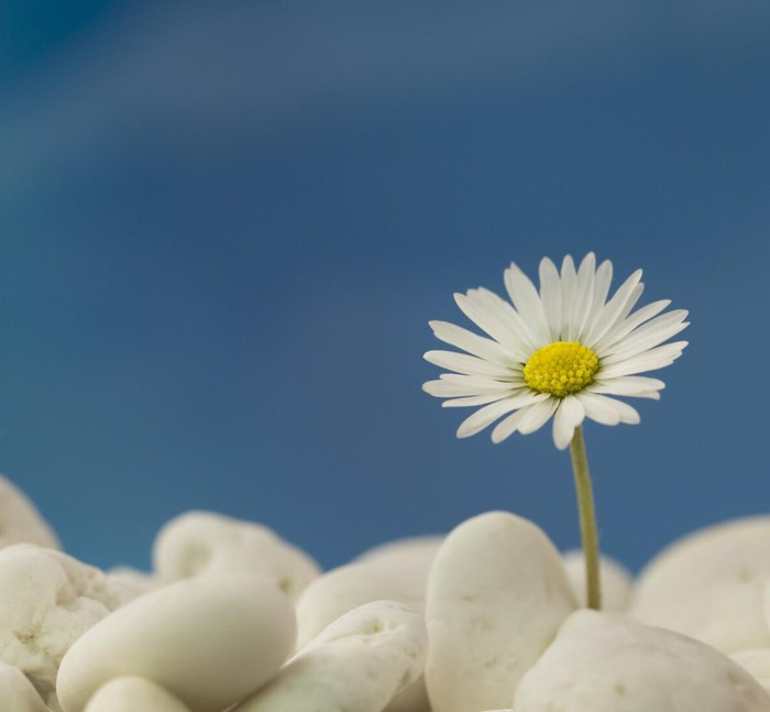 天空的文案短句【适合海阔天空的文案】