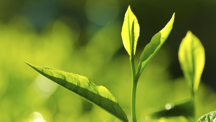 天空的文案短句【适合海阔天空的文案】