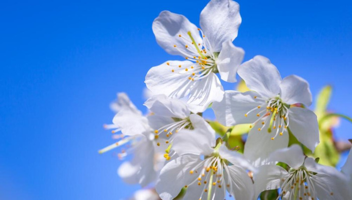 天空的文案短句【适合海阔天空的文案】