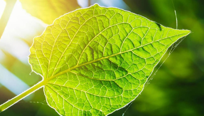 天空的文案短句【适合海阔天空的文案】