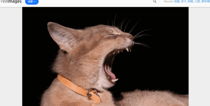 相册模板免费素材【相册模板网站】