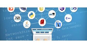 自学编程入门先学什么【自学编程需要什么基础】