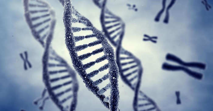 网站开发流程的三个部分