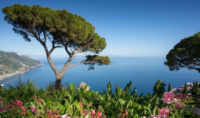 蛇和羊的属相合不合【蛇和羊做夫妻好不好】