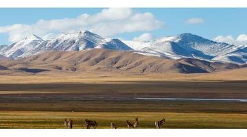 中国古代环保思想名句【表现古人环保意识的句子】