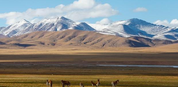 中国古代环保思想名句【表现古人环保意识的句子】