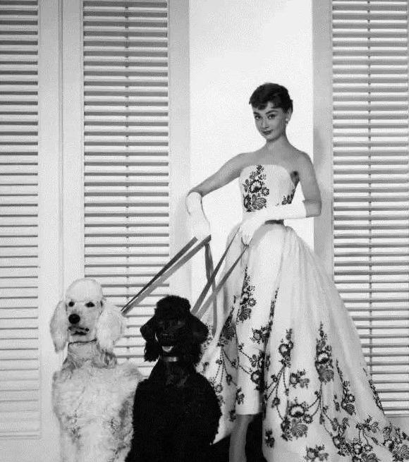 纪梵希logo设计理念【纪梵希logo演变过程】