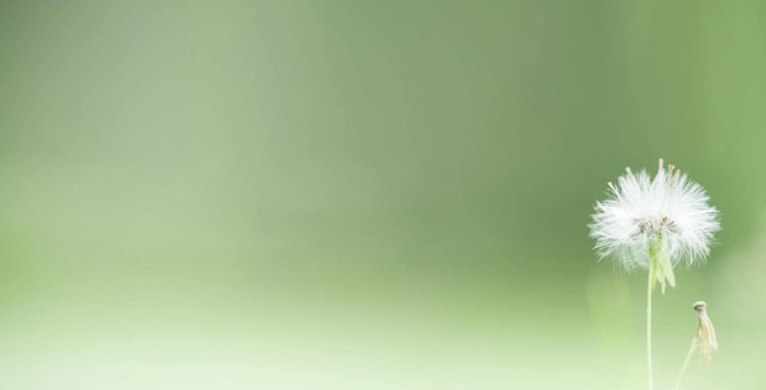 切图怎么切【切图片快捷键】