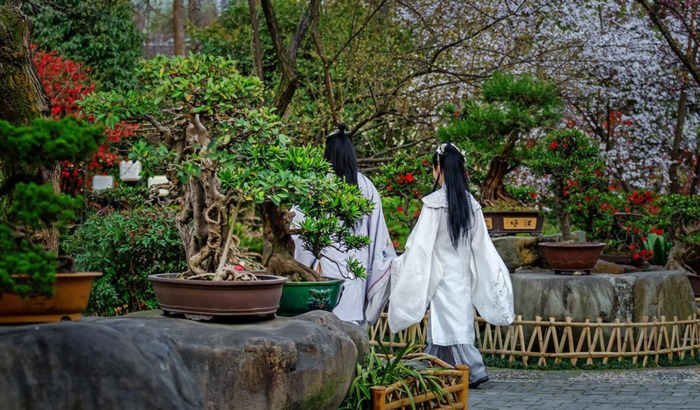 锦里和宽窄巷子哪个好玩【锦里和宽窄巷子是不是同一个地方】