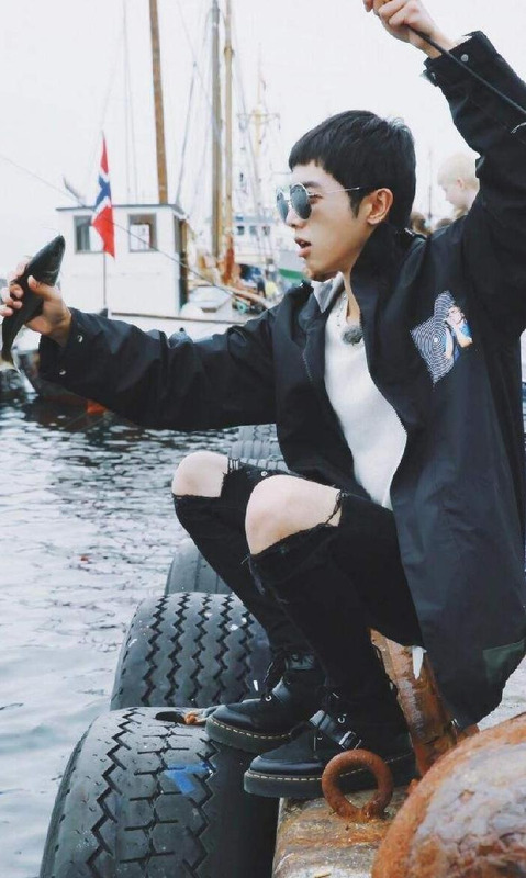 金典有机奶广告代言人是谁【金典有机奶广告歌曲】