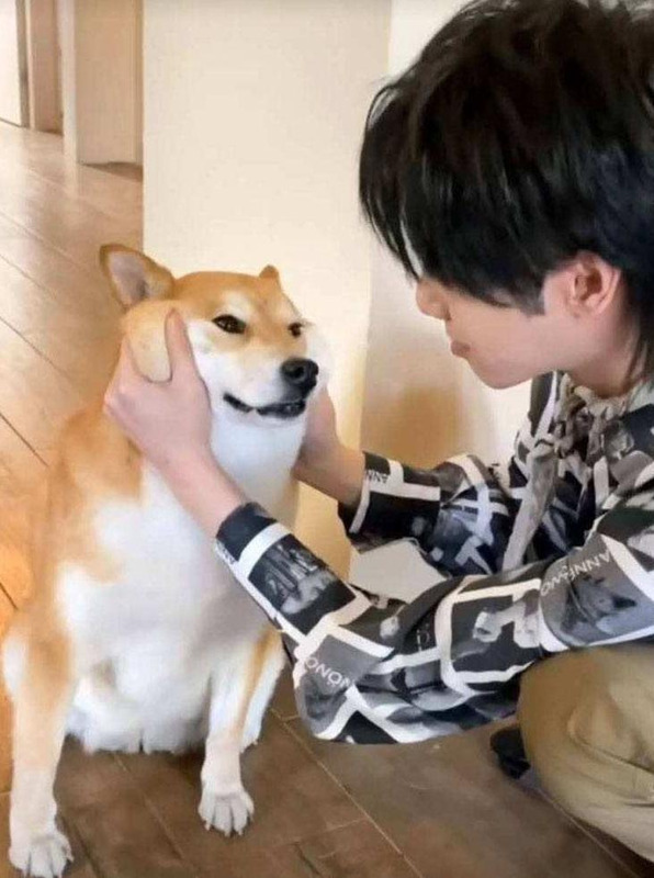 金典有机奶广告代言人是谁【金典有机奶广告歌曲】