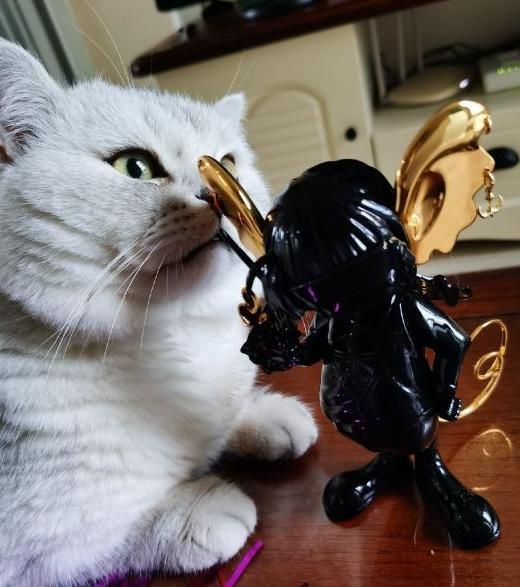 金典有机奶广告代言人是谁【金典有机奶广告歌曲】