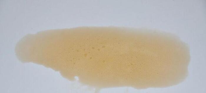 立邦漆官网真伪查询【立邦漆官网旗舰店】