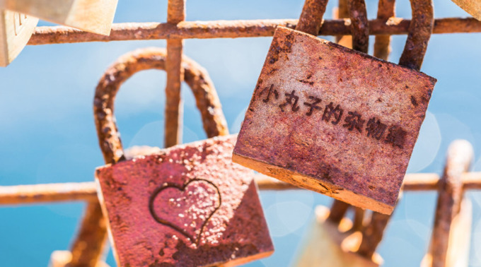 lofter电脑网页版登录入口【lofter网页版手机登录】