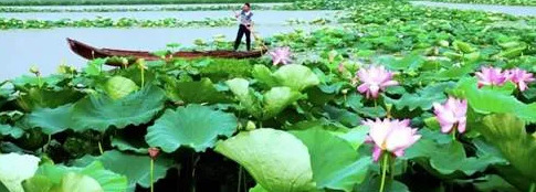 火爆产品的推广文案句子【爆款产品的推广文案】