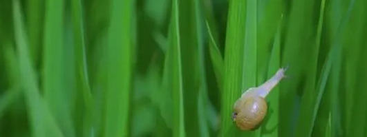 火爆产品的推广文案句子【爆款产品的推广文案】