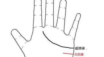 手纹好乱命不好吗?【手纹路乱女人命苦吗】