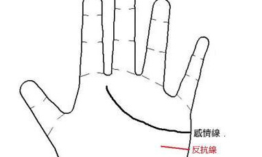 手纹好乱命不好吗?【手纹路乱女人命苦吗】