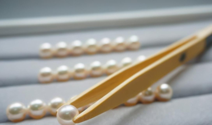 akoya珍珠级别 皇后【akoya珍珠颜色等级】