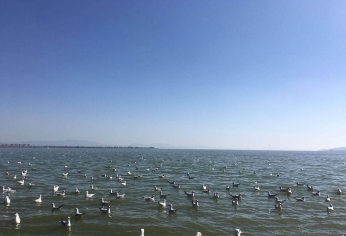 昆明到大理多少公里开车几个小时【昆明到大理多少公里路程】