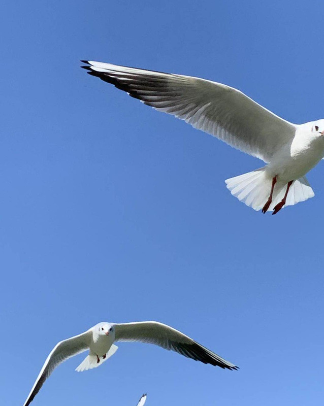 昆明到大理多少公里开车几个小时【昆明到大理多少公里路程】