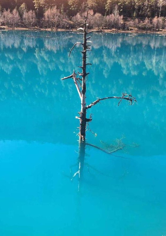 昆明到大理多少公里开车几个小时【昆明到大理多少公里路程】