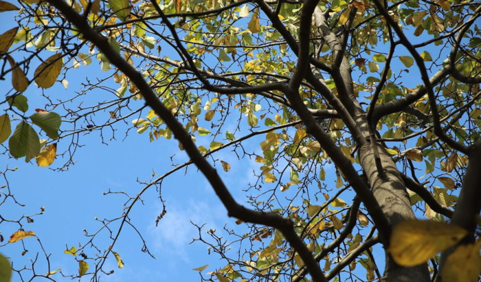 微信朋友圈几行会被折叠【微信朋友圈如何不折叠成一行】