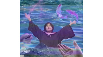 新媒体淡化了原有的媒体格局【新媒体对旧媒体的颠覆】