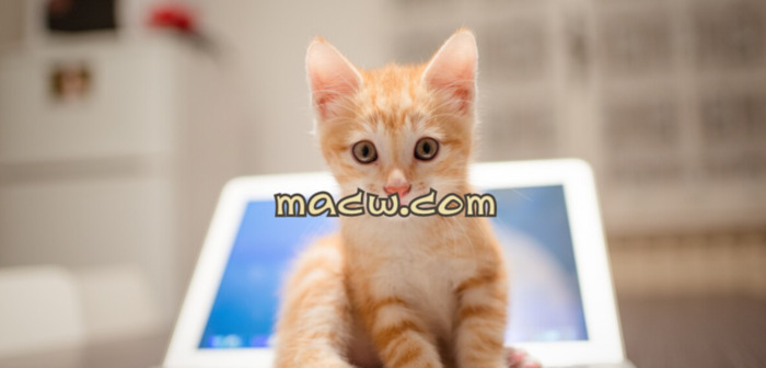 苹果笔记本如何强制重启【苹果笔记本 强制重启】