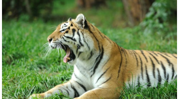 天泽履卦详解财运【天泽履卦详解易安居】