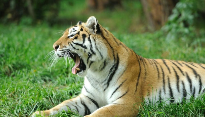 天泽履卦详解财运【天泽履卦详解易安居】