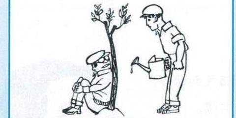 漫画的启示作文待业啄木鸟【漫画的启示作文500字五年级种树】