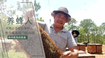 发朋友圈卖蜂蜜的说说【卖蜂蜜的朋友圈软文】