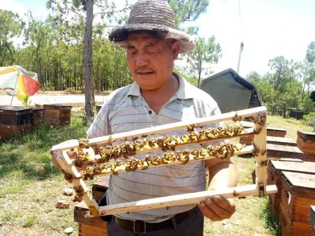 发朋友圈卖蜂蜜的说说【卖蜂蜜的朋友圈软文】