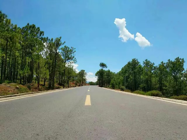 发朋友圈卖蜂蜜的说说【卖蜂蜜的朋友圈软文】