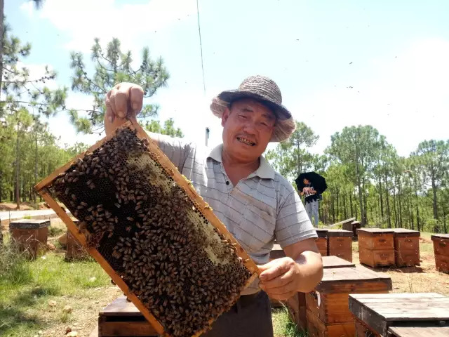 发朋友圈卖蜂蜜的说说【卖蜂蜜的朋友圈软文】