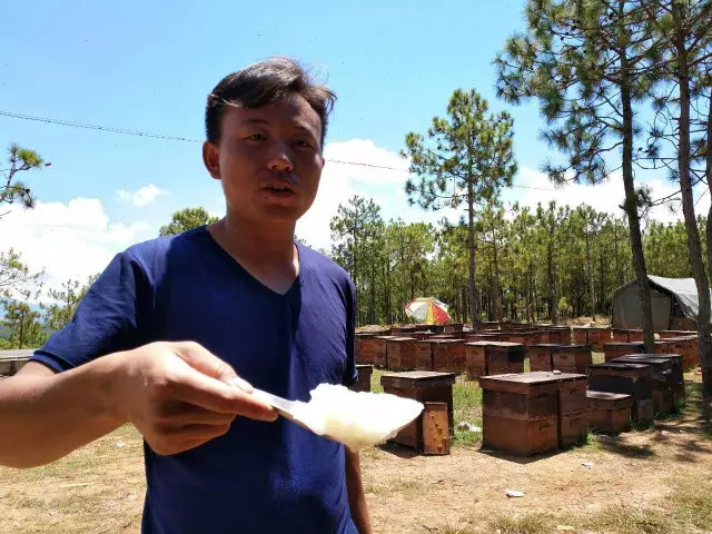 发朋友圈卖蜂蜜的说说【卖蜂蜜的朋友圈软文】