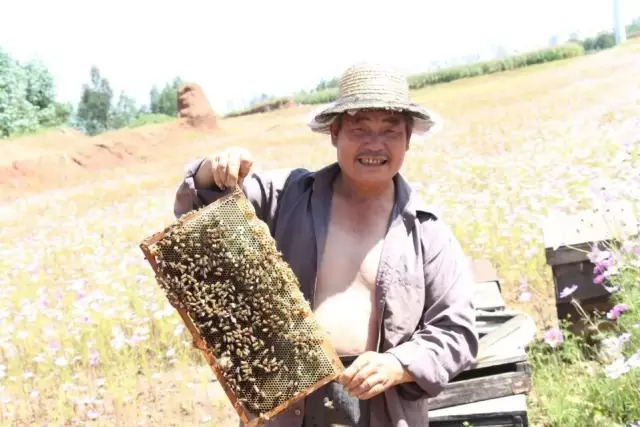 发朋友圈卖蜂蜜的说说【卖蜂蜜的朋友圈软文】