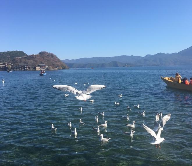 上海到丽江自驾游旅游攻略【上海去丽江攻略】