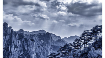 剑字组词语【劲字组词语有哪些】