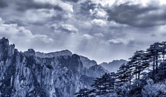 剑字组词语【劲字组词语有哪些】