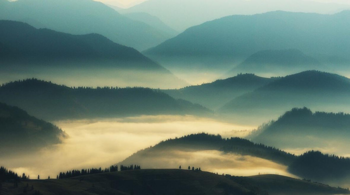 剑字组词语【劲字组词语有哪些】