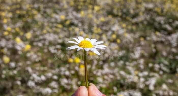 情绪价值才是男人痴迷你的主要原因【情绪价值,时间价值,物质价值】